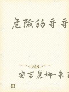 危险的哥哥朋友