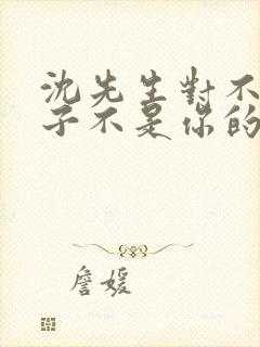 沈先生对不起孩子不是你的短剧免费观看