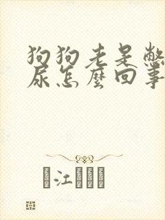 狗狗老是憋不住尿怎么回事