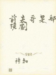 前夫哥是哪个电视剧