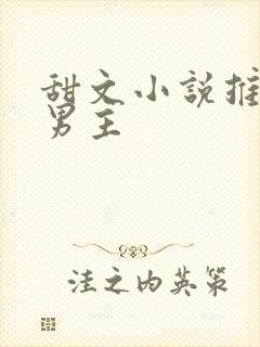 甜文小说推荐双男主