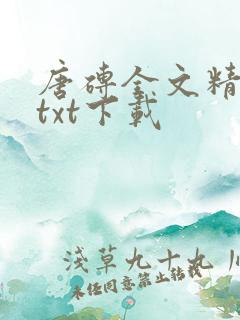 唐砖全文精校版txt下载