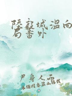 陆毅城温向晚结局番外