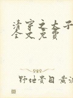 清穿之太子娇妃全文免费