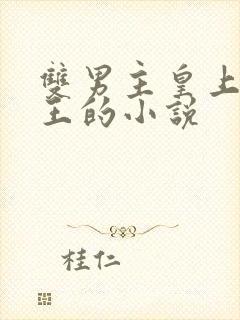 双男主皇上摄政王的小说