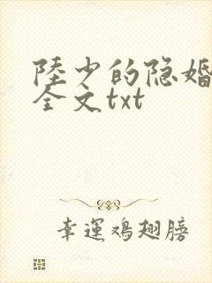 陆少的隐婚罪妻全文txt