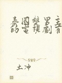 泰国双男主cp的电视剧有哪些