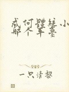 成何体统小说在哪个平台