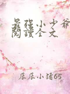 最强小少爷全文阅读全文