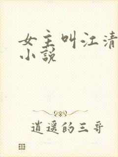 女主叫江清婉的小说