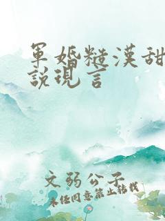 军婚糙汉甜宠小说现言