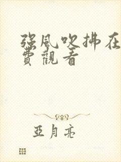 强风吹拂在线免费观看