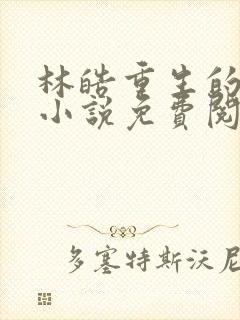 林皓重生的官场小说免费阅读