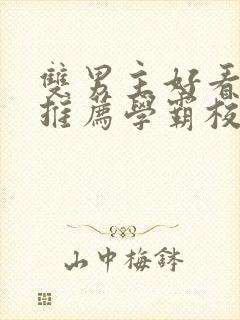 双男主好看小说推荐学霸校霸文