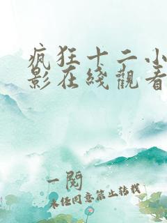 疯狂十二小时电影在线观看