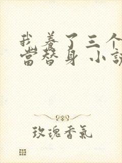 我养了三个大佬当替身 小说