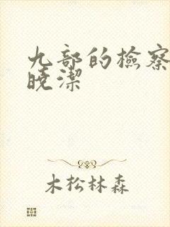 九部的检察官姜晓洁