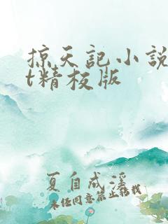 掠天记小说txt精校版