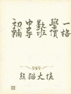 初中数学一对一辅导班价格