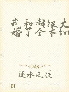 我和超级大佬隐婚了全本txt下载