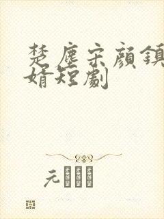 楚尘宋颜镇国神婿短剧