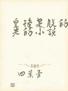 皇后是朕的黑月光的小说