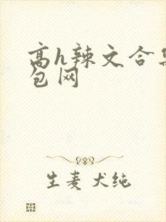 高h辣文合集书包网