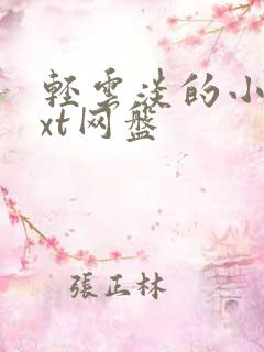 轻云淡的小说txt网盘