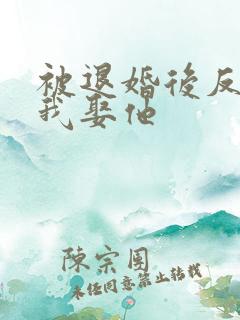 被退婚后反派求我娶他