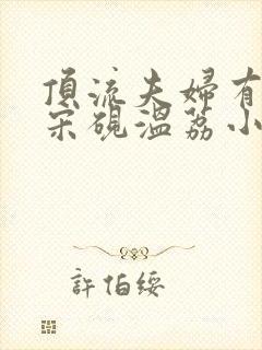 顶流夫妇有点甜宋砚温荔小说