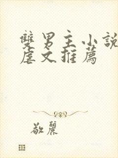 双男主小说阅读虐文推荐