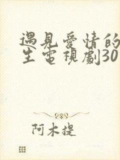 遇见爱情的利先生电视剧30集