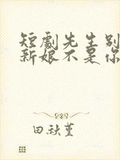 短剧先生别闹了新娘不是你