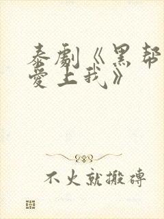 泰剧《黑帮少爷爱上我》