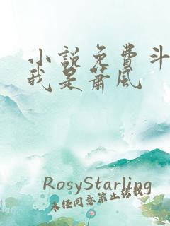 小说免费斗破之我是萧风