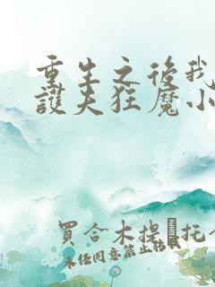 重生之后我成了护夫狂魔小说