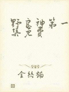 野良神第一季全集免费