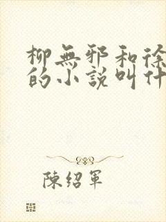 柳无邪和徐凌雪的小说叫什么名字