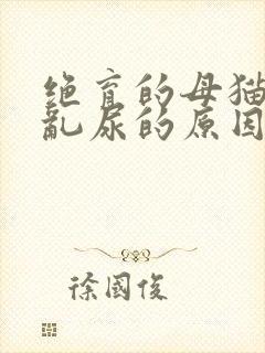 绝育的母猫突然乱尿的原因