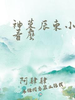 神墓辰东小说好看么