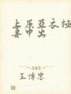 上原亚衣极品人妻中出