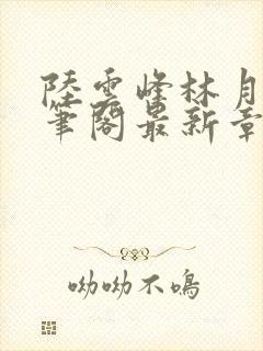 陆云峰林月莲妙笔阁最新章节