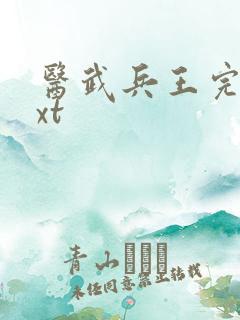 医武兵王完本txt