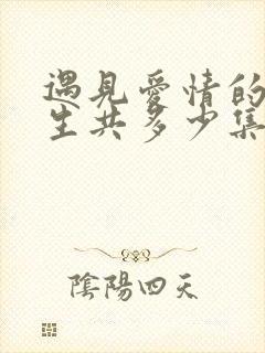 遇见爱情的利先生共多少集