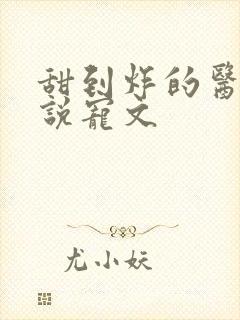 甜到炸的医生小说宠文