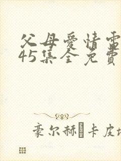 父母爱情电视剧45集全免费观看