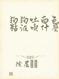 狗狗吐白色泡沫粘液吃什么药