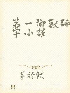 第一御兽师肖星宇小说