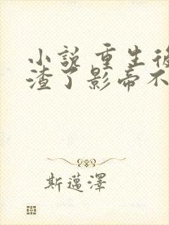 小说 重生后我渣了影帝不想负责