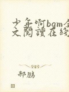 少年啊bgm全文阅读在线听